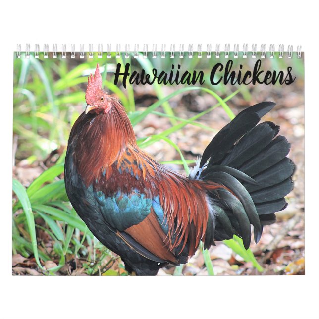 Hawaiian Chickens Calendar (Cover)