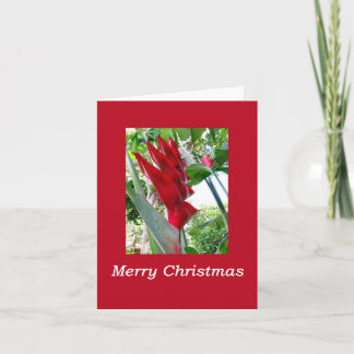 Hawaiian Christmas Card