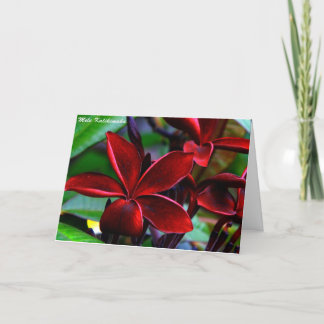 Hawaiian Christmas Cards