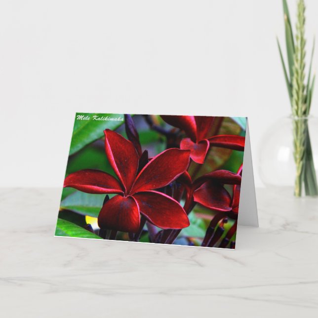 Hawaiian Christmas Cards (Front)