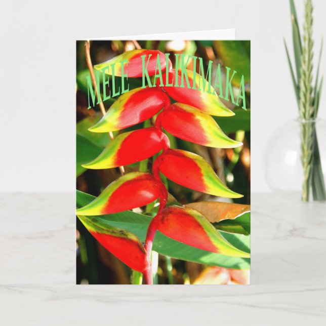 Hawaiian Christmas Cards (Front)