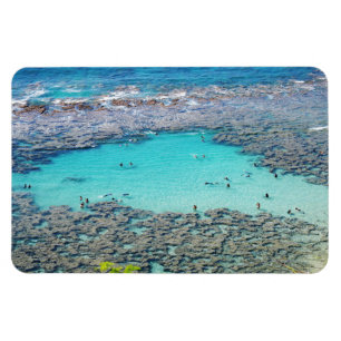 Hawaiian Coastal View Photo Magnet