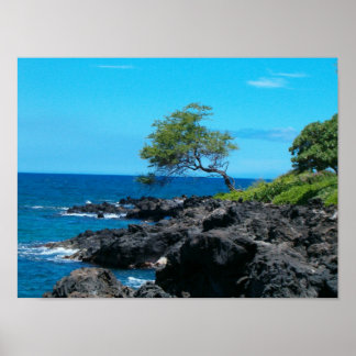 Hawaiian Coastline Poster