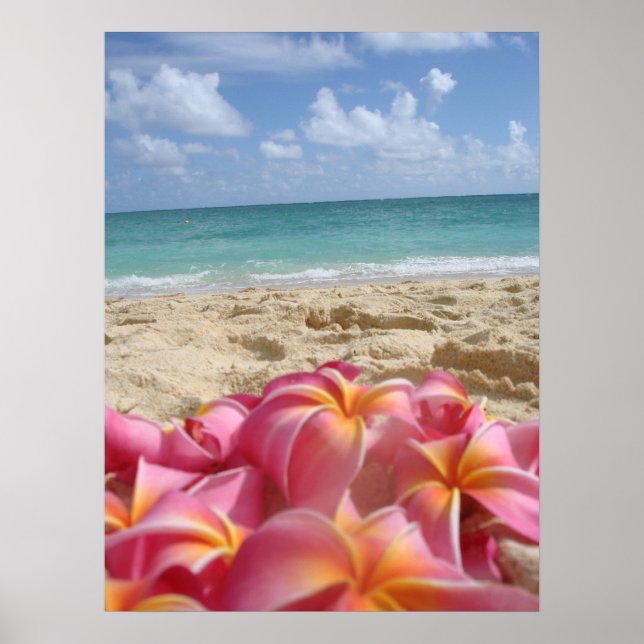 Hawaiian Dayz Poster (Front)