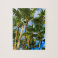 Hawaiian Exotic Beach Palm Trees & Sky