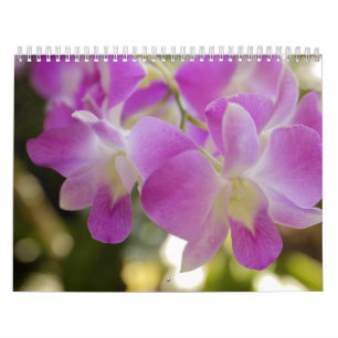 Hawaiian Flower & Orchid Calendar