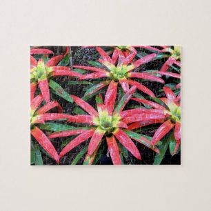 Hawaiian Flower Puzzle