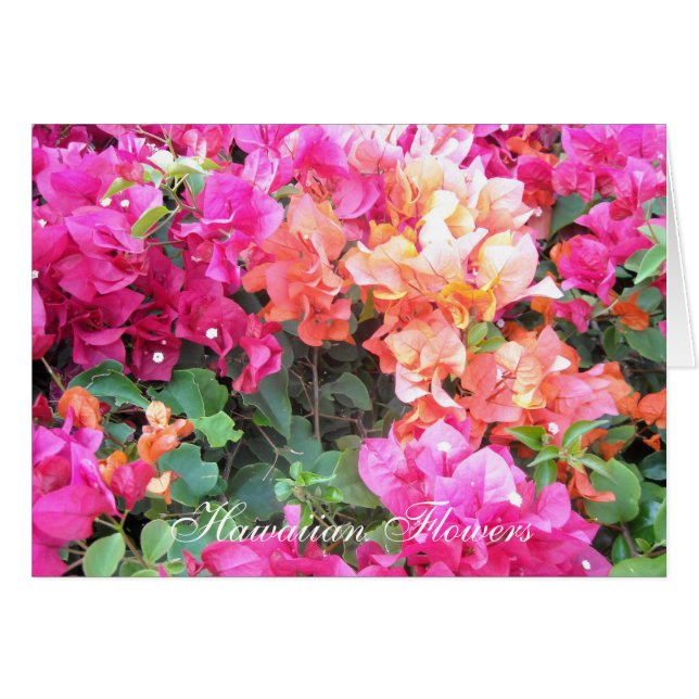Hawaiian Flowers (Front Horizontal)