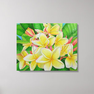 Hawaiian Frangipani Canvas Print