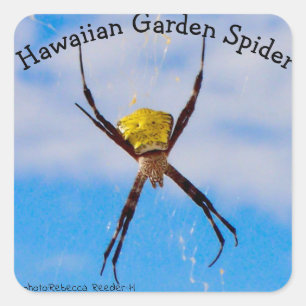 Hawaiian Garden Spider Square Sticker
