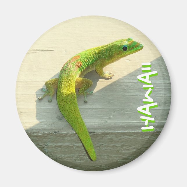Hawaiian gecko magnet (Front)