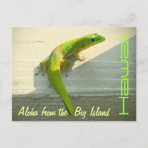 Hawaiian gecko postcard greeting