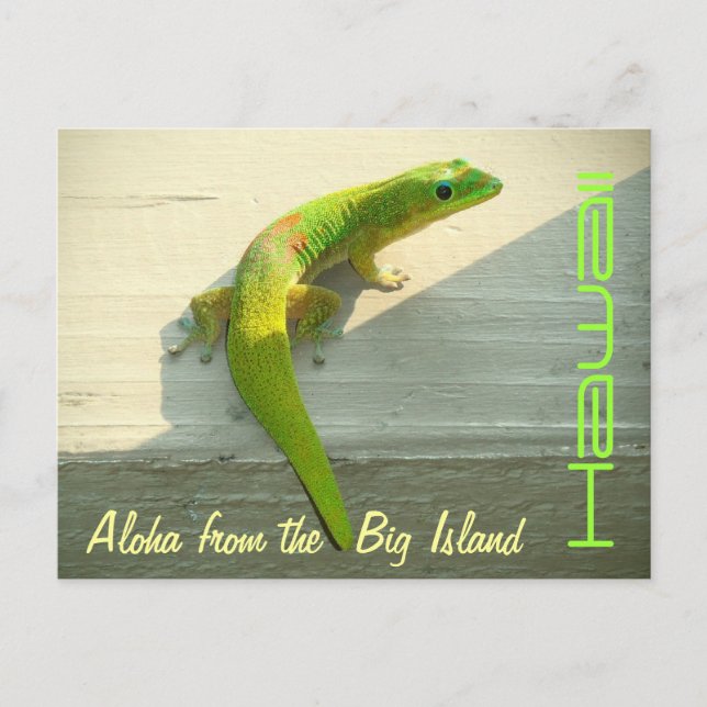 Hawaiian gecko postcard greeting (Front)
