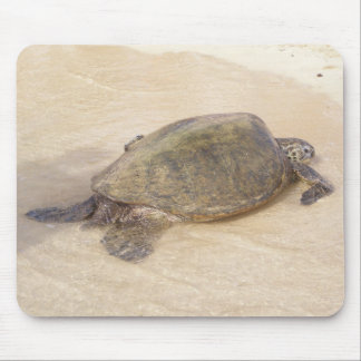 Hawaiian Giant Sea Turtle Mouse Mat
