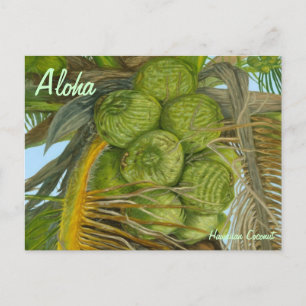 Hawaiian Green Coconut Postcard