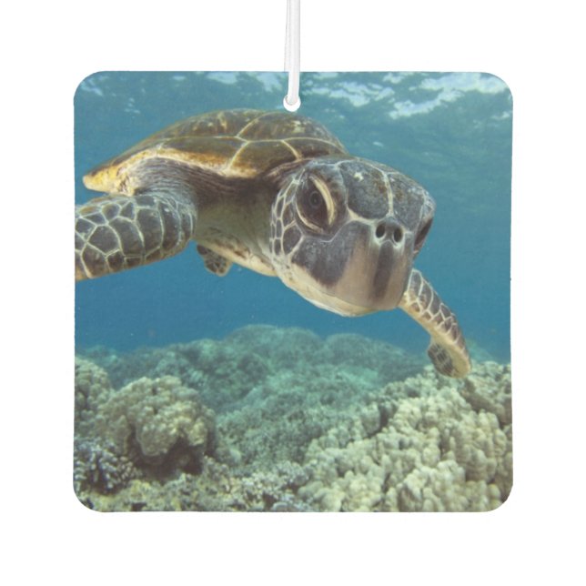 Hawaiian Green Sea Turtle Car Air Freshener (Front)
