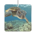 Hawaiian Green Sea Turtle