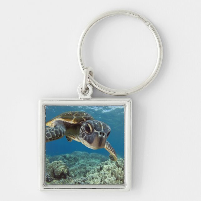 Hawaiian Green Sea Turtle Key Ring (Front)