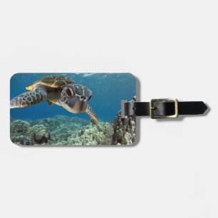 Hawaiian Green Sea Turtle Luggage Tag