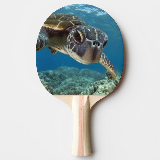 Hawaiian Green Sea Turtle Ping Pong Paddle (Front)