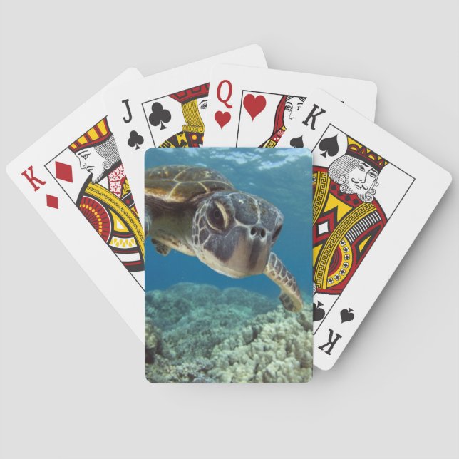 Hawaiian Green Sea Turtle Playing Cards (Back)