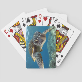 Hawaiian Green Sea Turtle Playing Cards