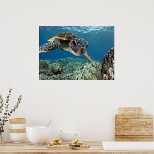 Hawaiian Green Sea Turtle Poster | Zazzle