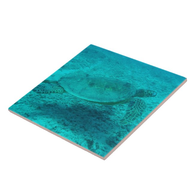 Hawaiian Green Sea Turtle Tile (Side)