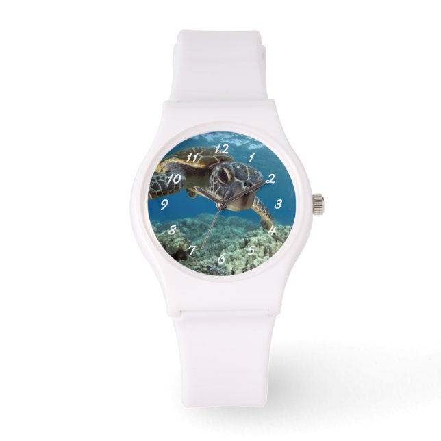 Hawaiian Green Sea Turtle Watch (Front)