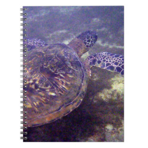 Hawaiian green sea turtles notebook