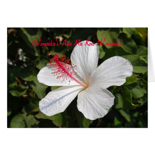 Hawaiian Happy Anniversary White Hibiscus Card