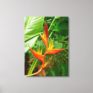 Hawaiian Heliconia Canvas Print