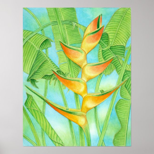 Hawaiian Heliconia Poster (Front)