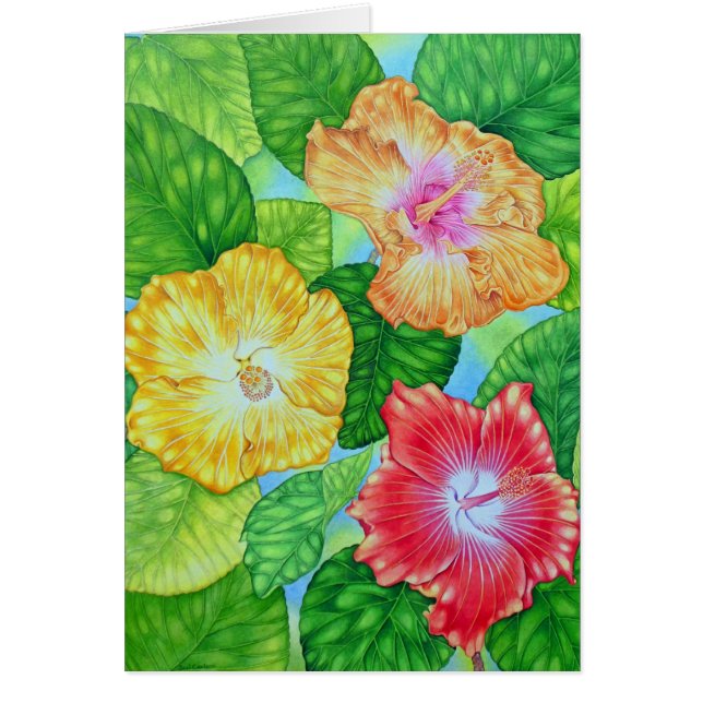 Hawaiian Hibiscus (Front)