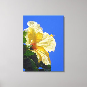 Hawaiian Hibiscus Canvas Print