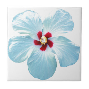 Hawaiian Hibiscus Flower Tile