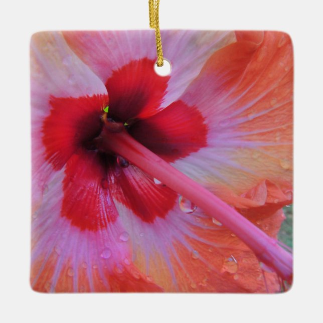 Hawaiian Hibiscus Ornament (Front)