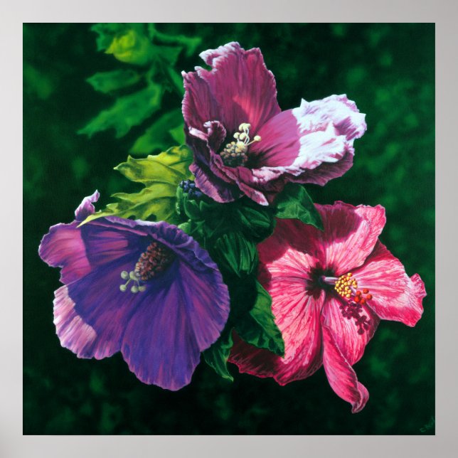 Hawaiian Hibiscus poster print (Front)