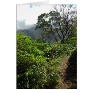 Hawaiian Hiking Trail