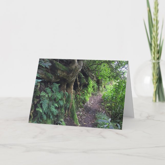 Hawaiian Hiking Trail Card (Front)