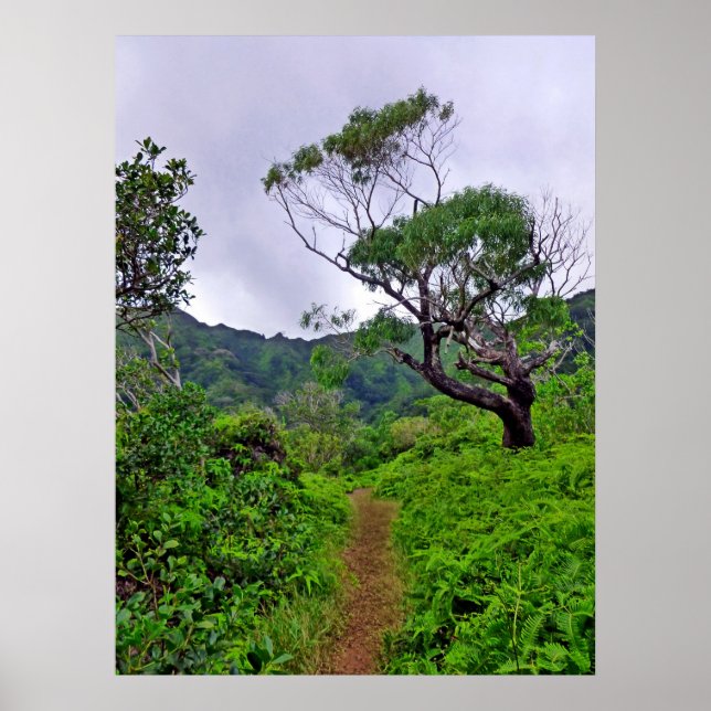 Hawaiian Hiking Trail Poster (Front)