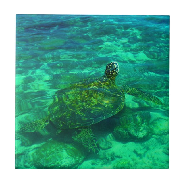 Hawaiian Honu Sea Turtle Tile (Front)