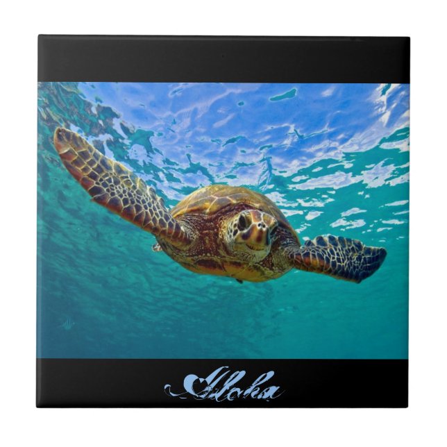Hawaiian Honu - Sea Turtle Tile (Front)