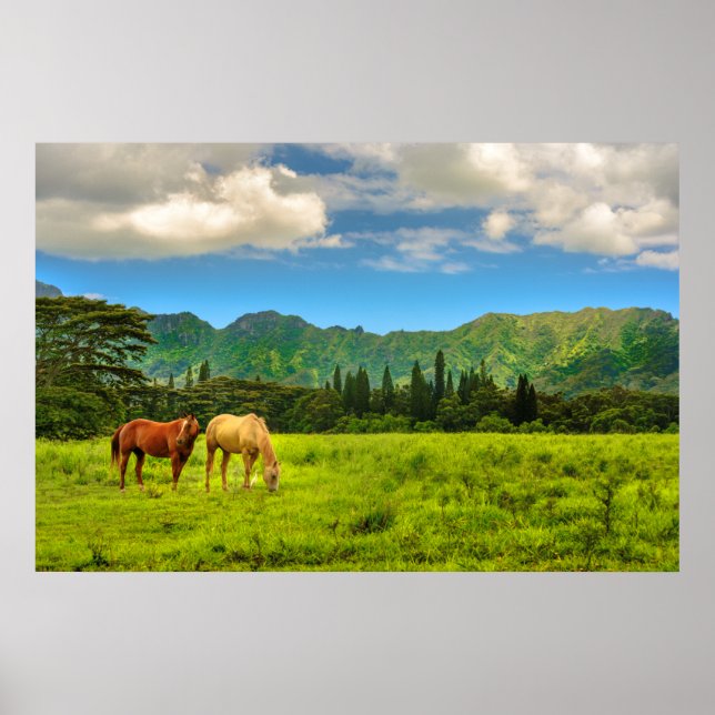Hawaiian Horses, Hokulei Peak, Kauai, Hawaii Poster (Front)