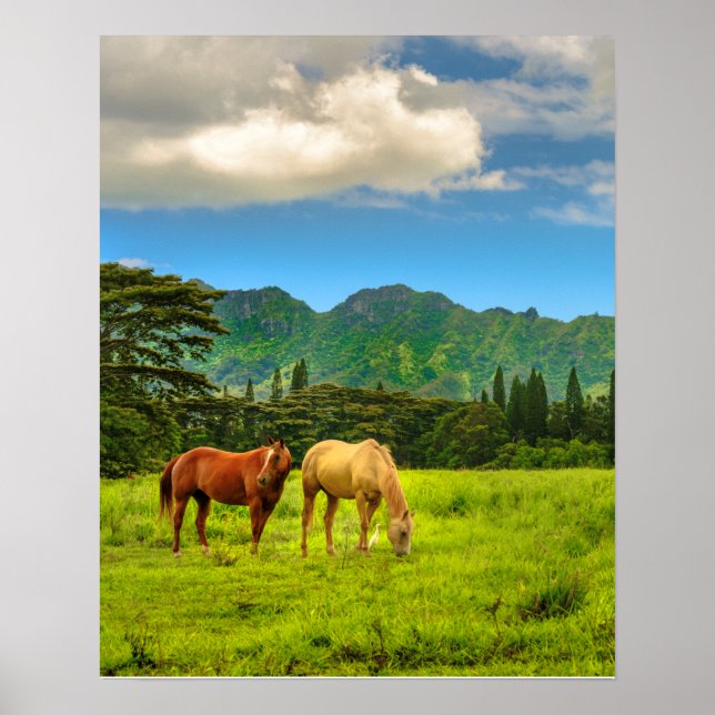 Hawaiian Horses, Hokulei Peak, Kauai, Vertical Poster (Front)