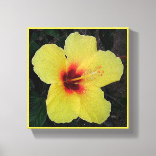 Hawaiian Hula Girl Hibiscus Stretched Canvas Print