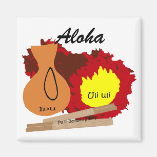 Hawaiian Instruments, Aloha magnet