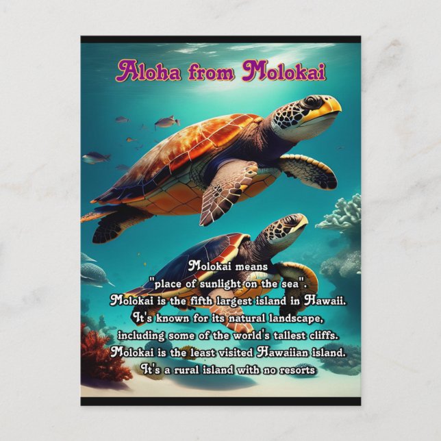 Hawaiian islands Molokai Aloha  Postcard (Front)