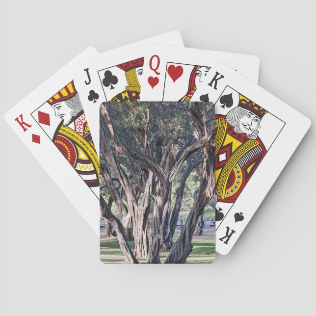 Hawaiian Kiawe Tree Playing Cards (Back)