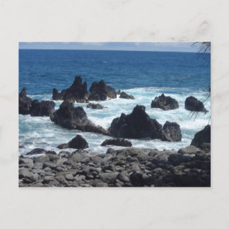 Hawaiian Kine Photos Postcard